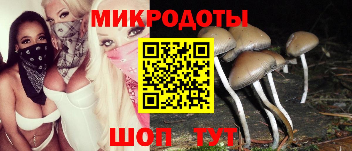 Вязьма  Галлюциногенные грибы Psilocybe  купить наркотики сайты  Псилоцибиновые грибы Cubensis  Вход с VPN 
